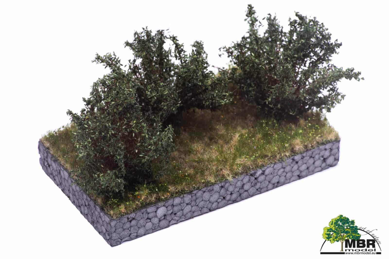 Medium Bushes